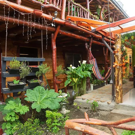 Hostal Central Panguipulli-3